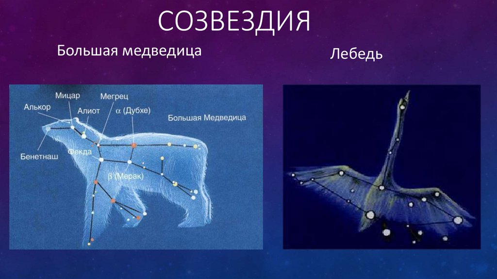 Карта созвездий лебедь