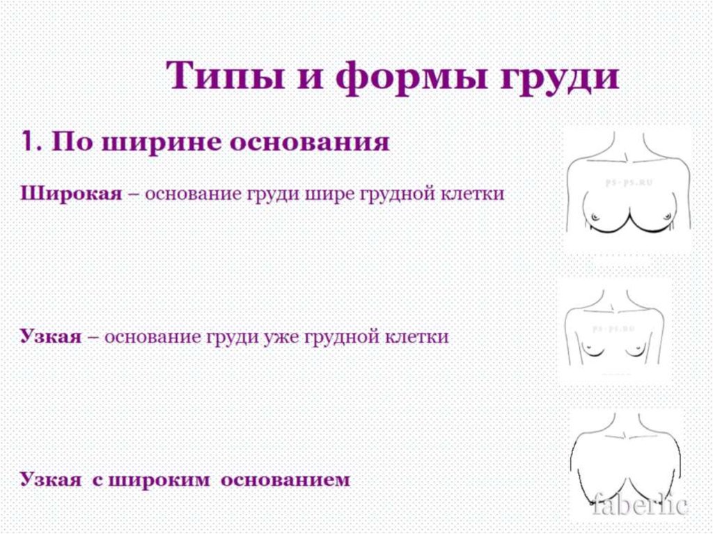 Типы груди