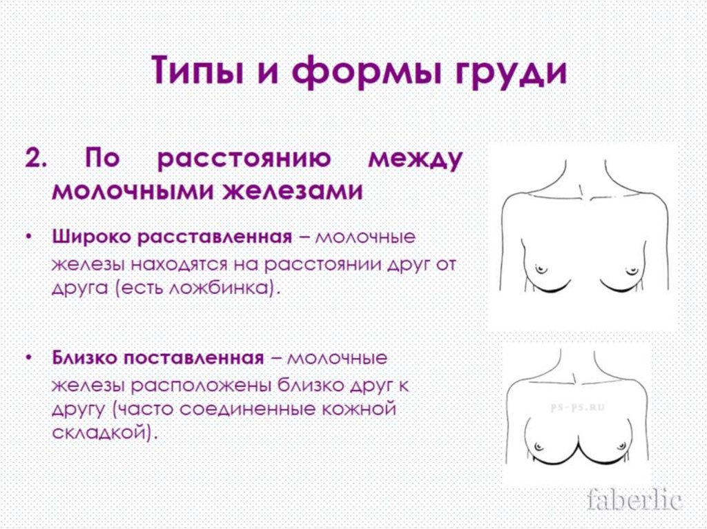 Типы и формы груди