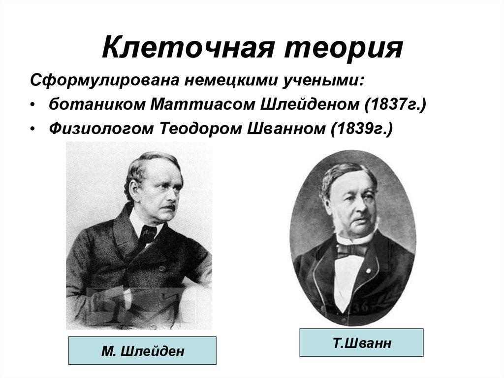 Презентация клеточная теория шлейдена и шванна и шлейдена