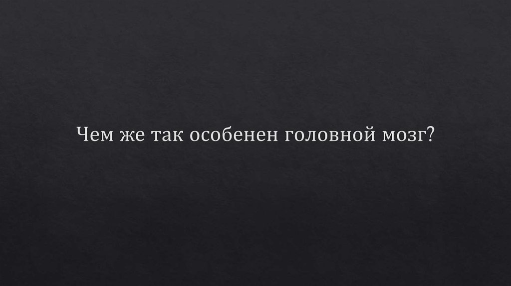Чем же так особенен головной мозг?