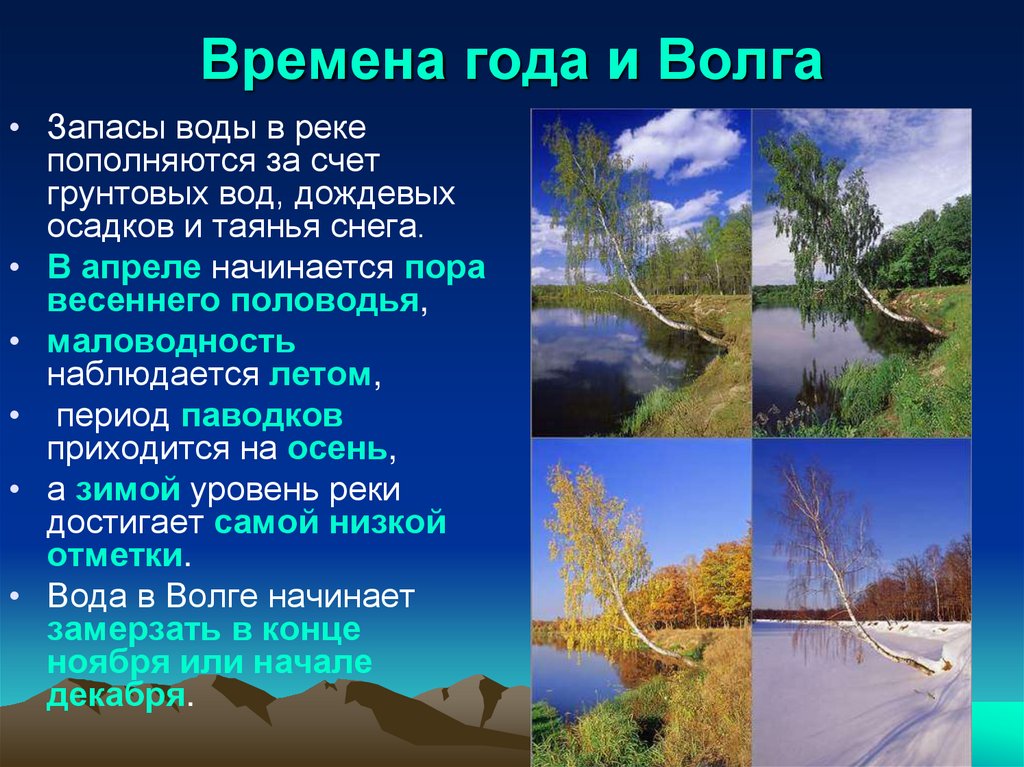 Волги изменяется в разные времена. Растения и животные Волги. Как Волга изменяется в разные времена года. Растения и обитатели Волги. Как река Волга изменяется в разные времена года.