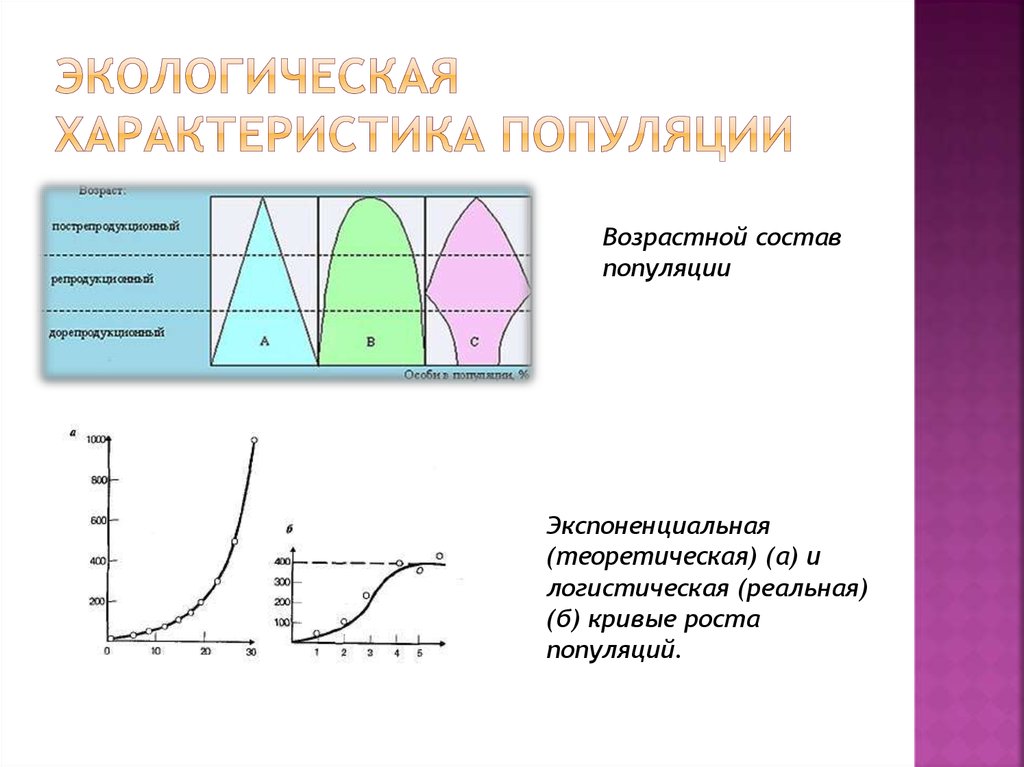 Экологическая характеристика. Экологические характеристики популяции. Основные экологические характеристики популяции. Характеристики популяций в экологии. Характеристики популяции схема.