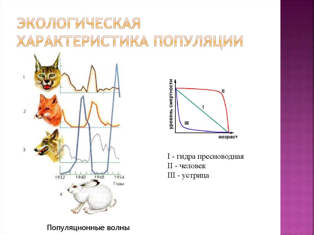 Основные экологические характеристики популяции презентация 11 класс