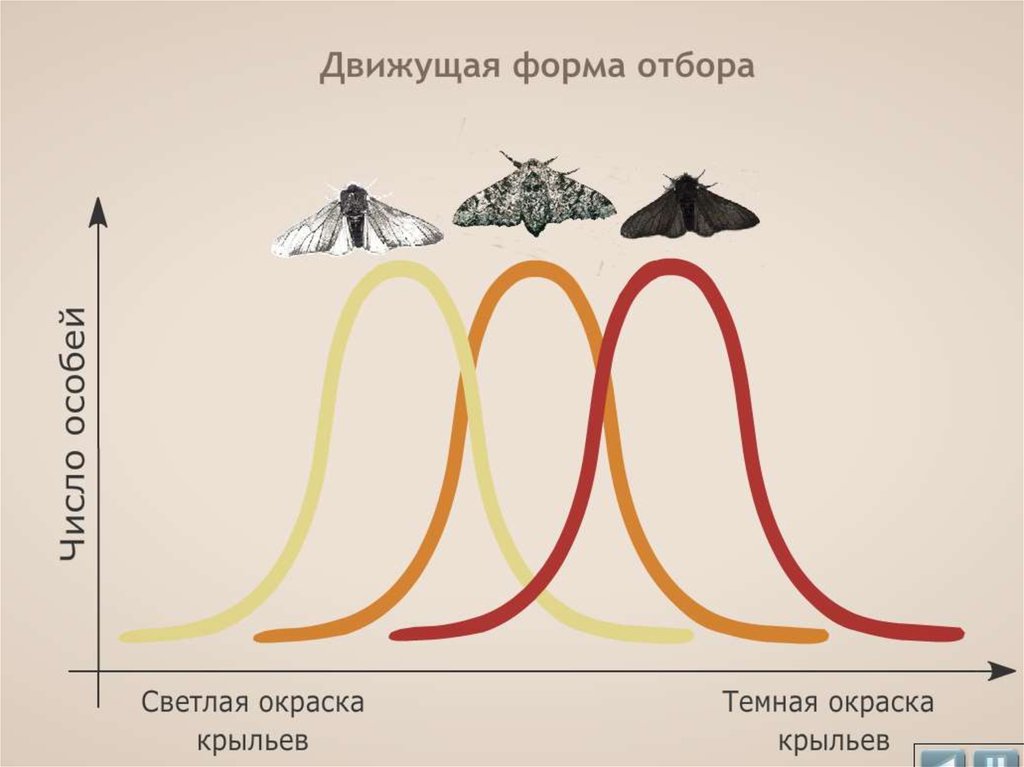 Галерея портретов исполнителей 4 класс пнш презентация