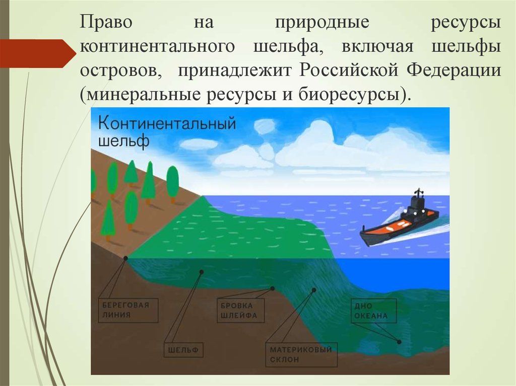 Внутренние континентальные воды. Шельф. Континентальный шельф России. Строение континентального шельфа. Природные ресурсы континентального шельфа.
