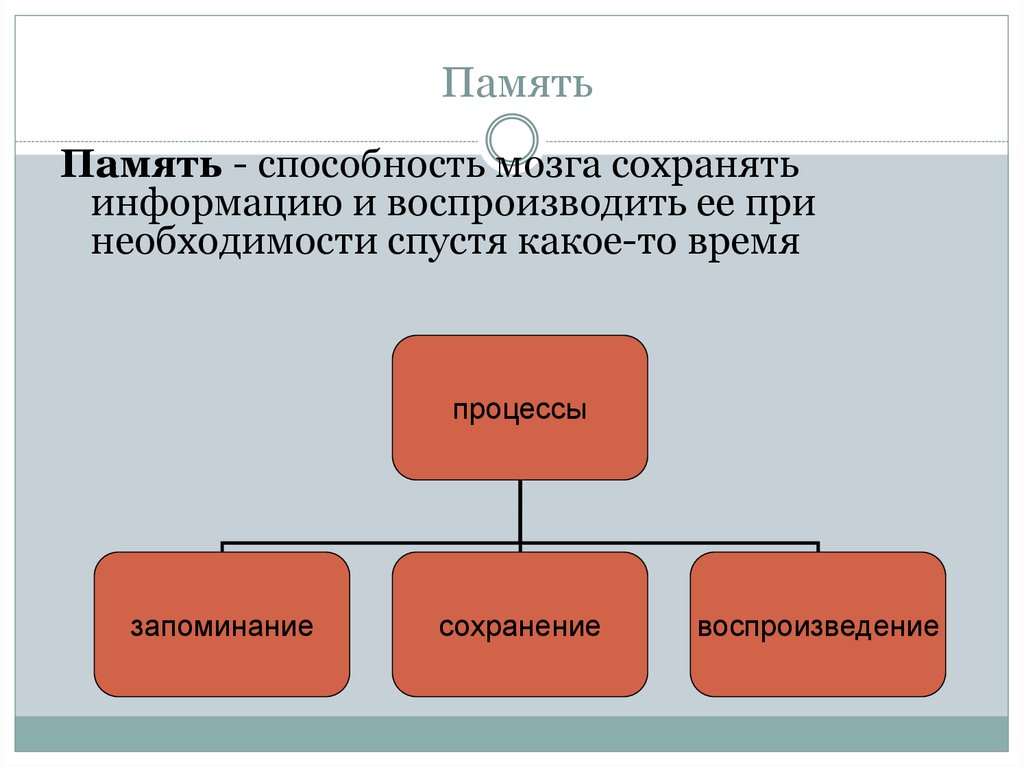 Возможности память. Память это способность. Память по времени сохранения информации. Память это способность сохранять и воспроизводить. Способность удерживать информацию.