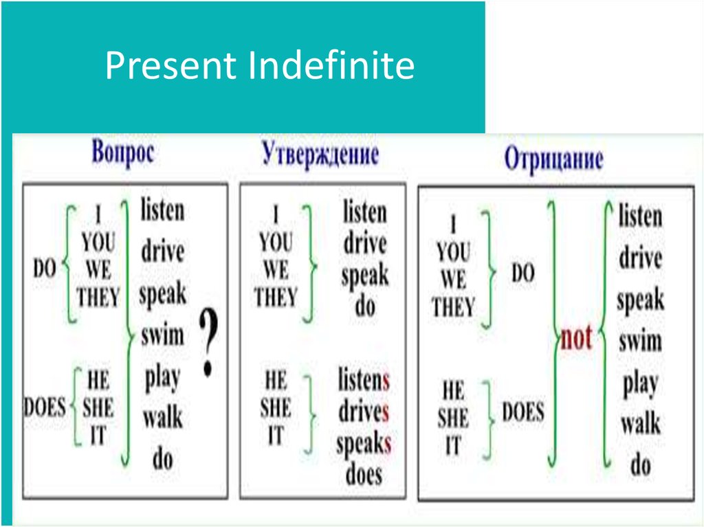 Does в вопросе your. Как образуется present indefinite схема. Indefinite Tenses в английском языке. Simple indefinite правило. Present indefinite таблица.