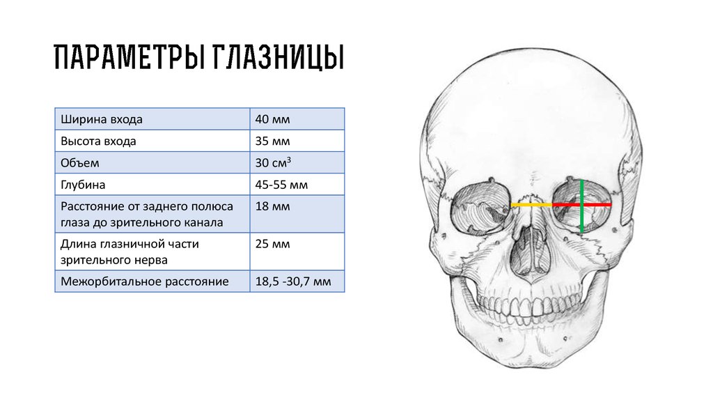 Орбитальной кости лица