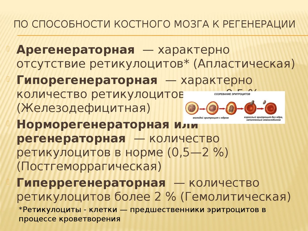 Количество характерный. По способности костного мозга к регенерации. Оценка Регенераторной способности костного мозга. Анемии по способности костного мозга к регенерации. Норморегенераторная анемия ретикулоциты.