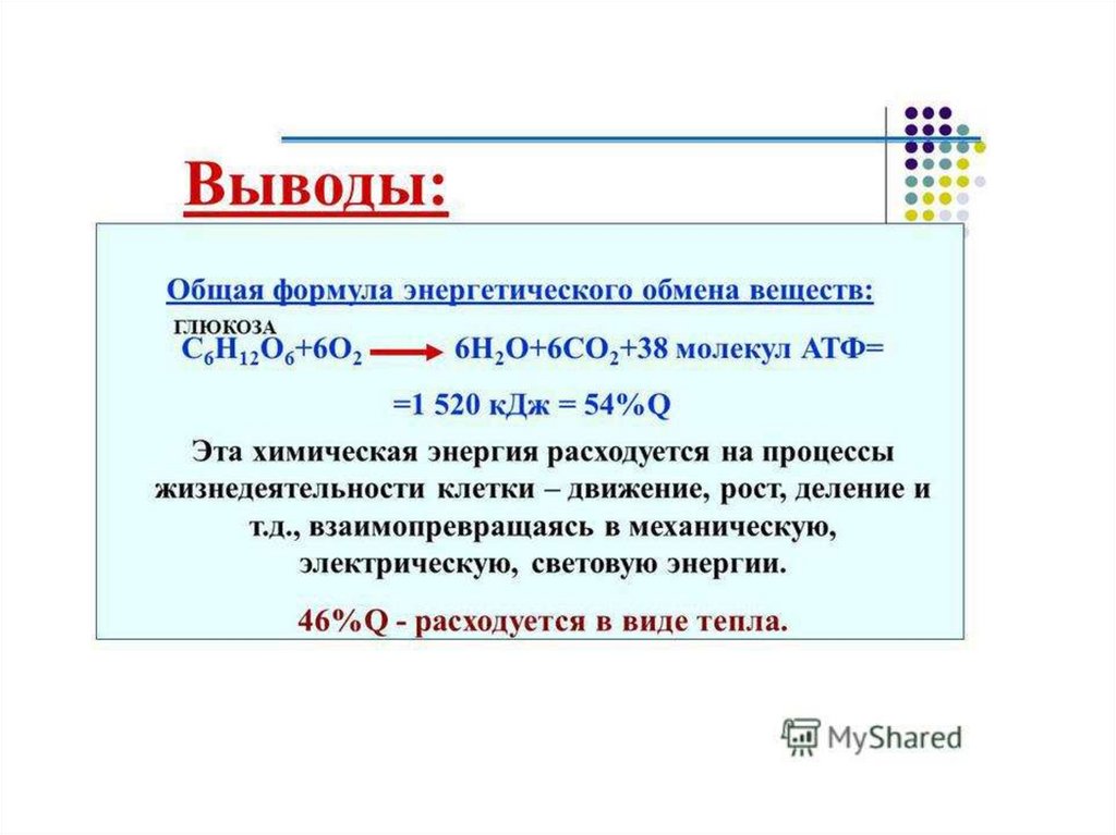 2 энергетический обмен. Общая формула энергетического обмена. Общее уравнение энергетического обмена. Обмен веществ вывод. Обмен веществ заключение.