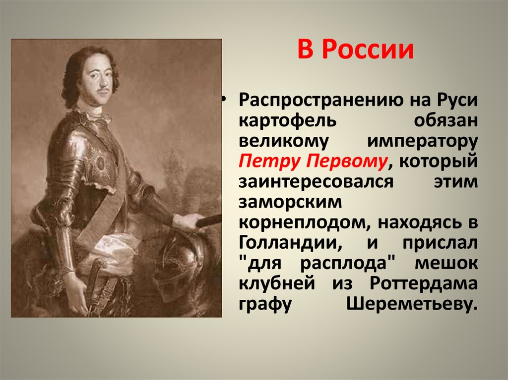 Великий обязанный. История распространения картофеля в России.