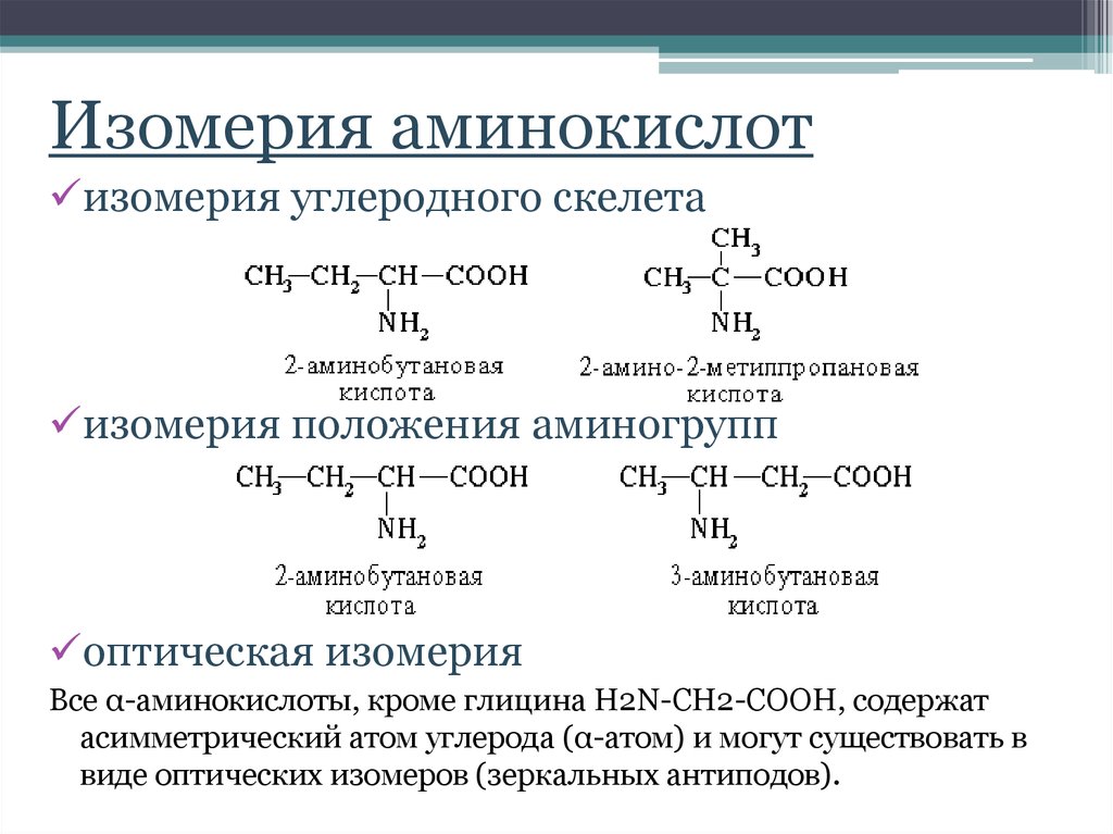 Презентация по аминокислотам