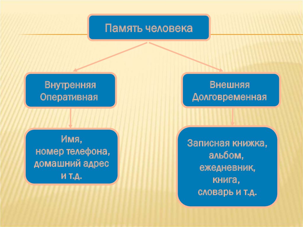 Оперативная память человека это