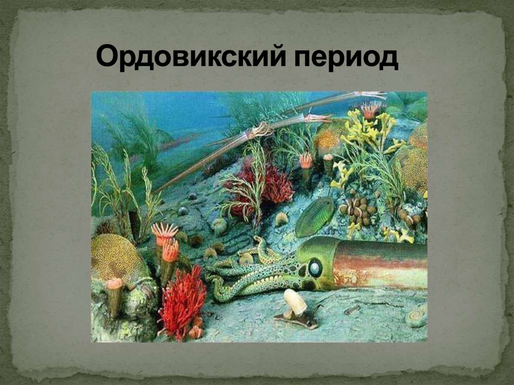 Период презентации. Ордовикский период – Ордовик. Ордовский период Палеозойская Эра. Палеозойская Эра Ордовик климат. Палеозойская Эра Ордовик период климат.