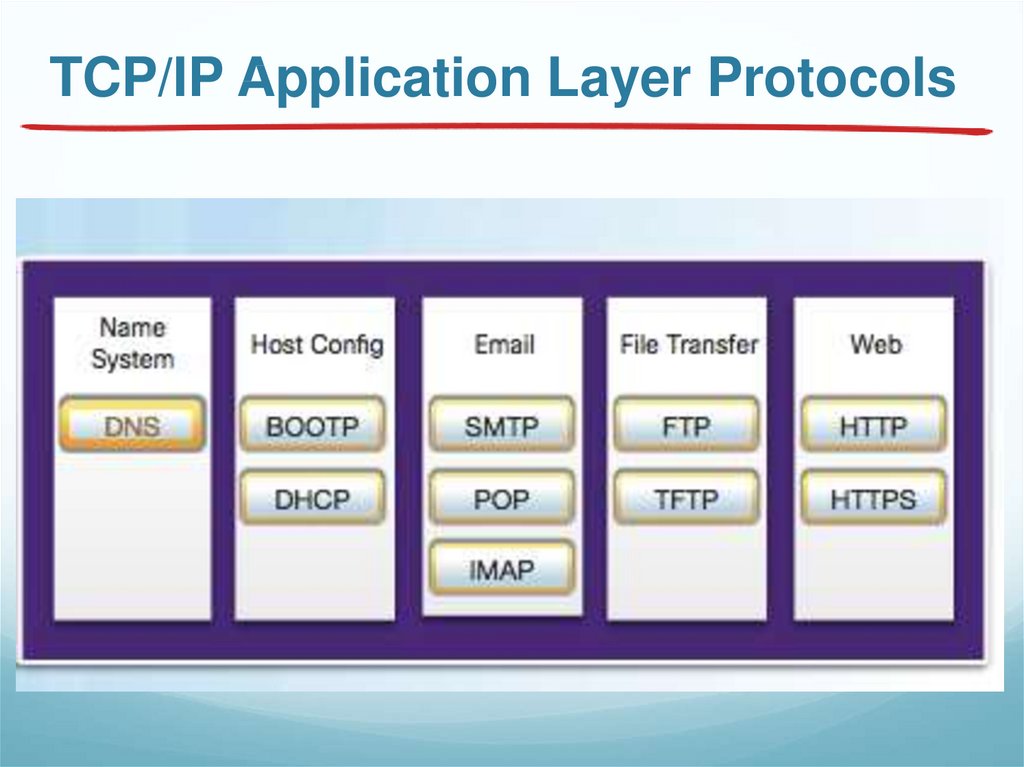 TCP/IP Application Layer Protocols