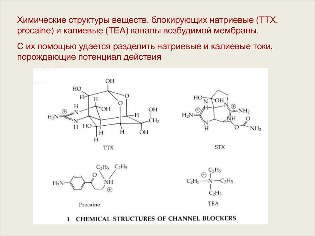 Структурные вещества. Химическая структура. Прокаин структура. Прокаин химическая структура класс. Прокаин химические свойства.