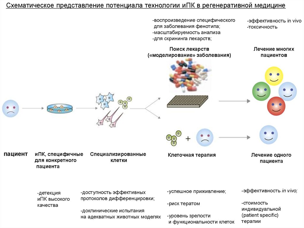 Регенеративная медицина презентация