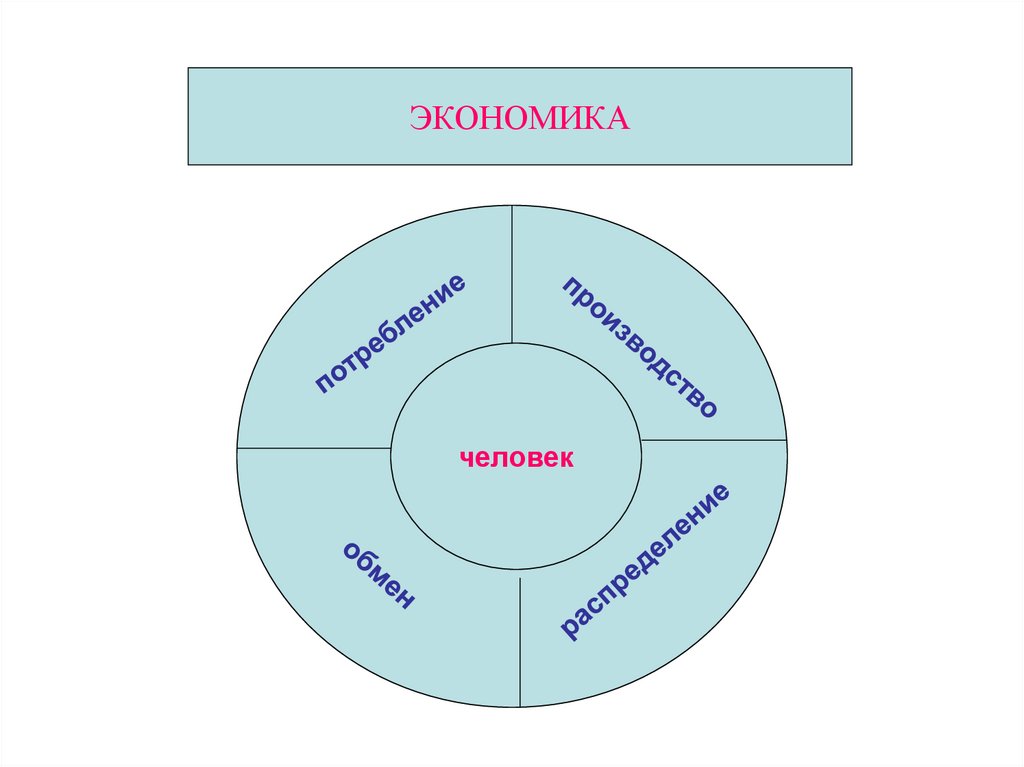 Основные элементы экономической науки