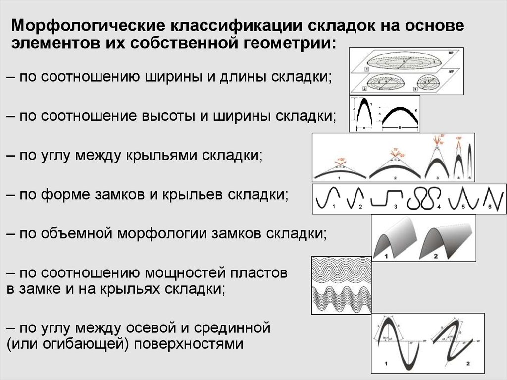 Виды складок