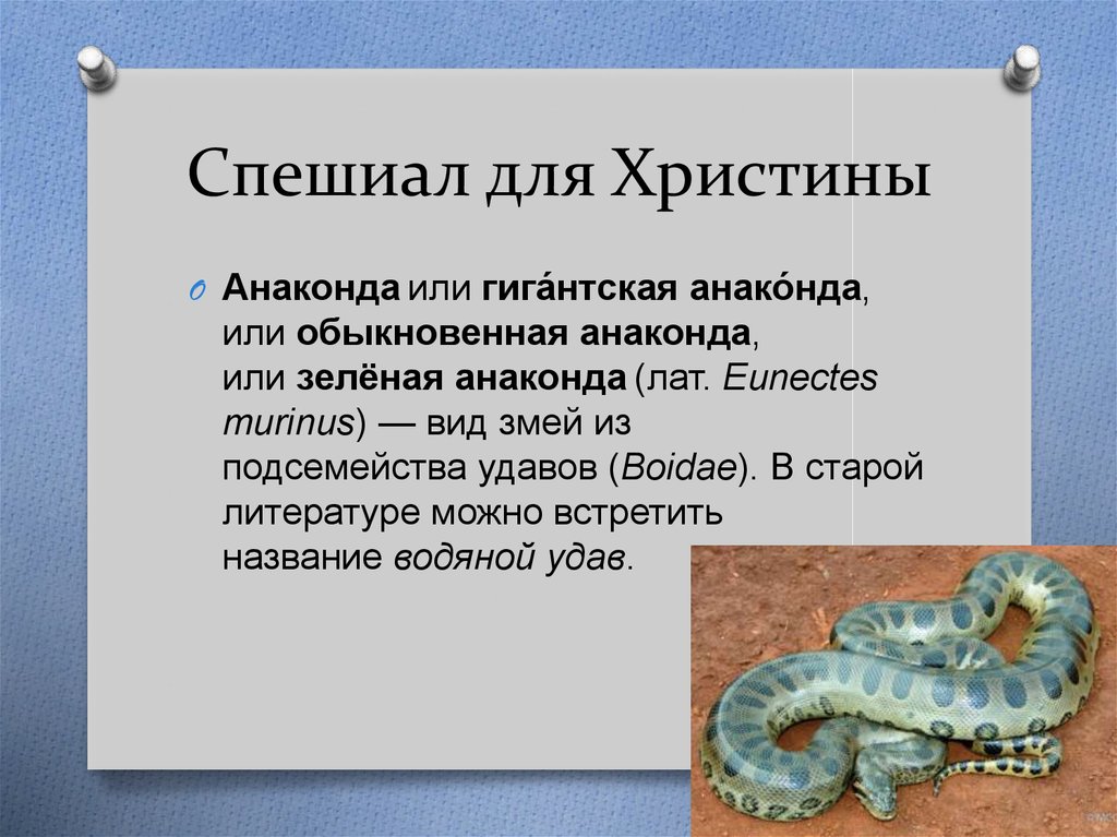 Спешиал для Христины