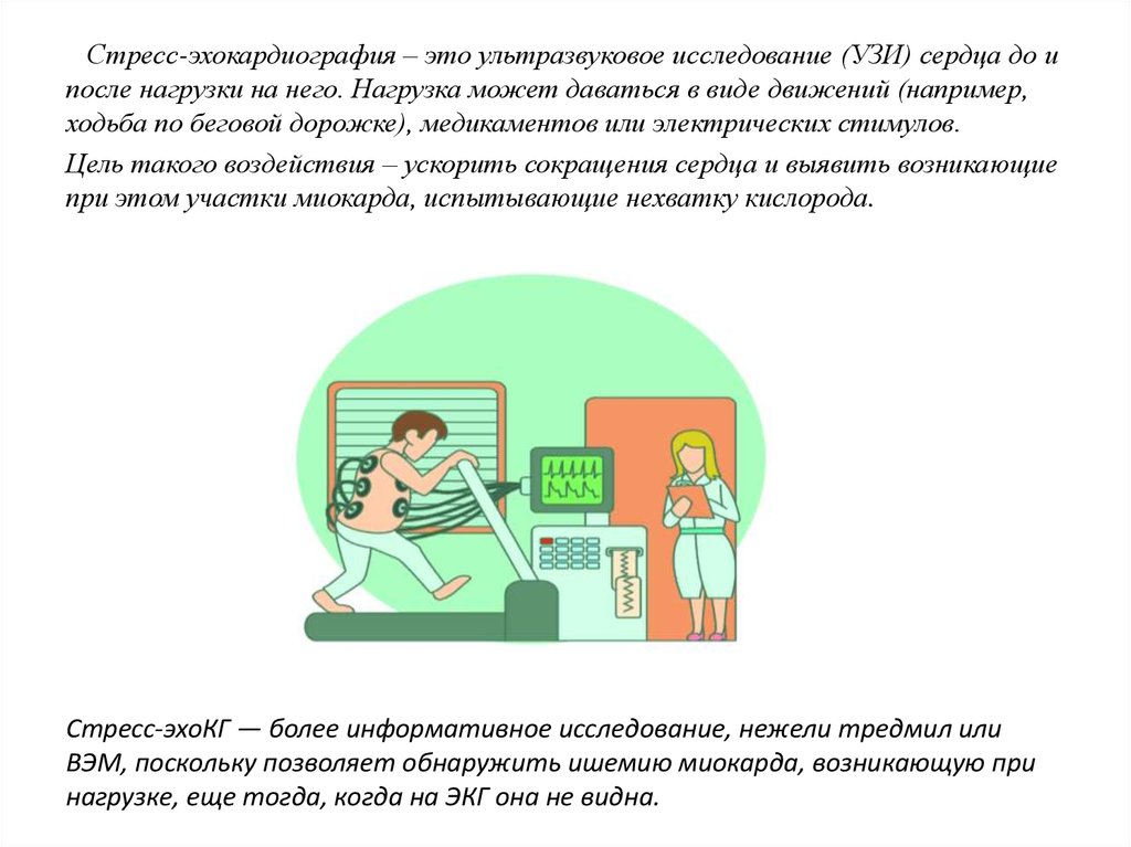 Стресс эхокг презентация