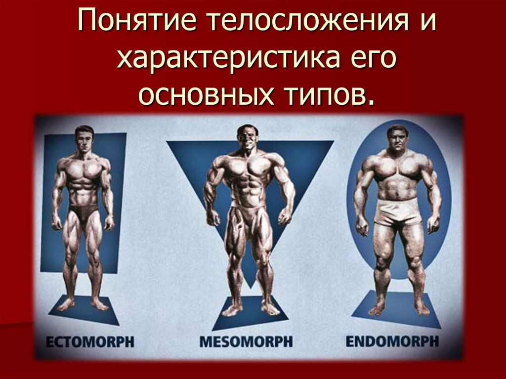 Фигура человека название. Типы телосложения. Эктоморфный Тип телосложения. Типы мужского телосложения и фигуры. Типы телосложения у мужчин.