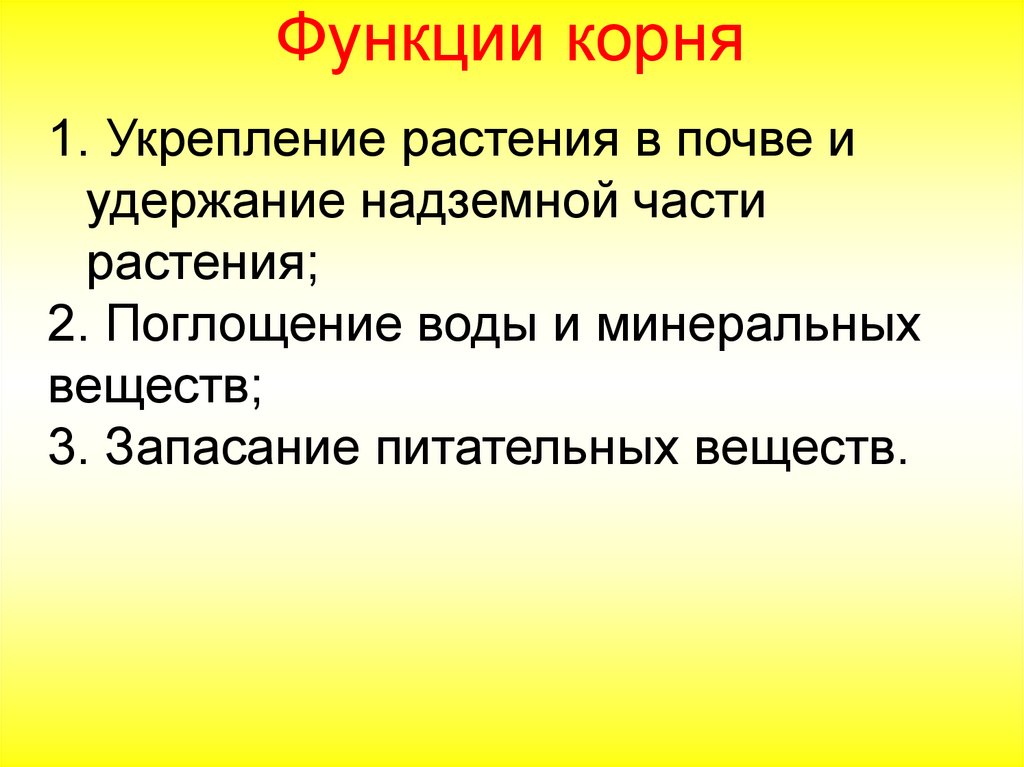 Функции корня биология 6. Функции корневой системы. Функции корней 6 класс. Укрепление растения в почве и удержание надземной части растения. Функции корневища.