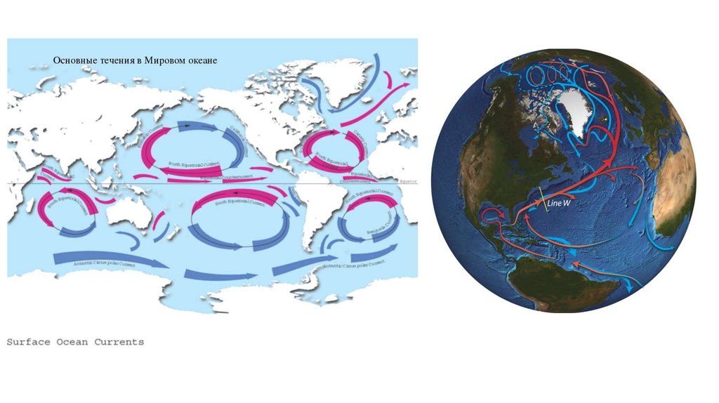 Холодные течения евразии. Схема теплых течений в мировом океане. Карта течений мирового океана. Основные поверхностные течения в мировом океане. Тёплые и холодные течения на карте мирового океана.