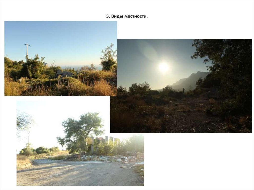 5. Виды местности.