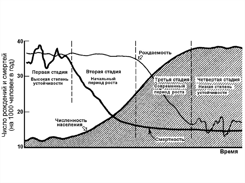 Низкая стадия. Этапы демографического развития. Стадии демографического развития. Этапы возникновения демографии. Первый этап развития демографии.