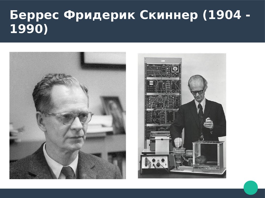 Б скиннер бихевиоризм. Скиннер бихевиоризм. Аппарат Скиннера. Бихевиоризм картинки для презентации. Бихевиоризм фото.