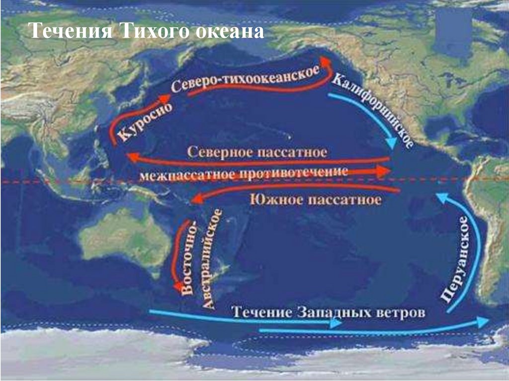 Причины холодного течения. Схема поверхностных течений Тихого океана. Теплое течение Куросио. Теплые течения Куросио муссонное. Течения Тихого океана Куросио.