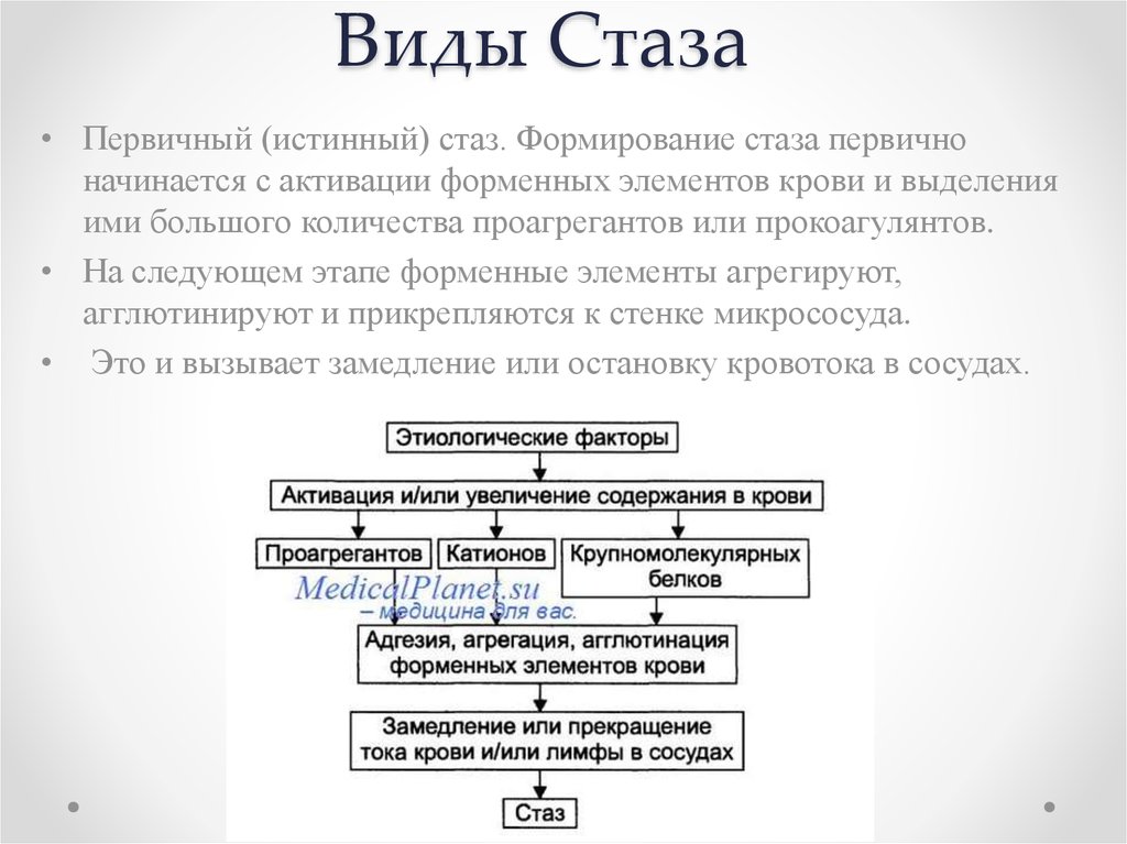 Причины механизмы. Стаз виды механизмы развития. Схема механизма истинного капиллярного стаза. Механизм развития стаза. Механизм развития стаза: истинного и капиллярного..