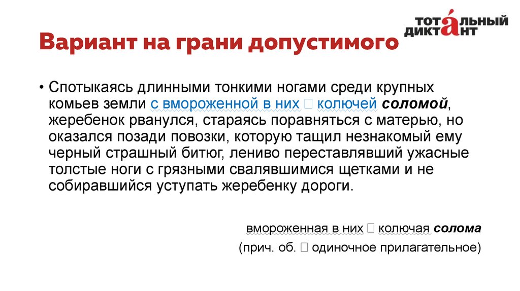 Вариант на грани допустимого