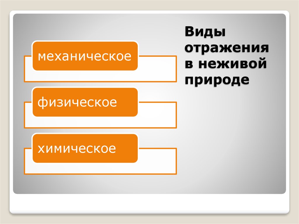 Отражение в неживой природе форма отражения