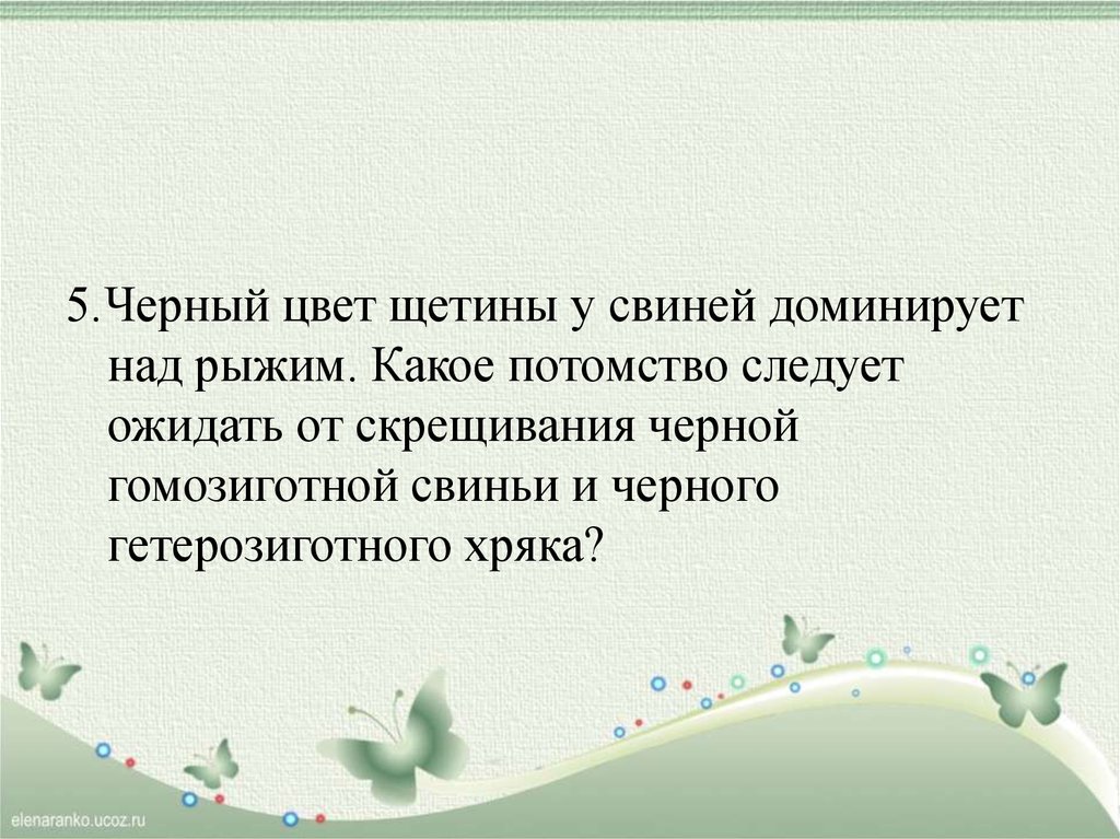 У свиней черная окраска щетины доминирует над рыжей длинная щетина над короткой составьте схему