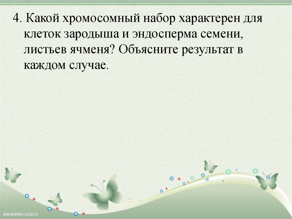 Хромосомный набор эндосперма семени пшеницы. Какой хромосомный набор характерен для клеток эндосперма сосны. Какой хромосомный набор у эндосперма сосны.