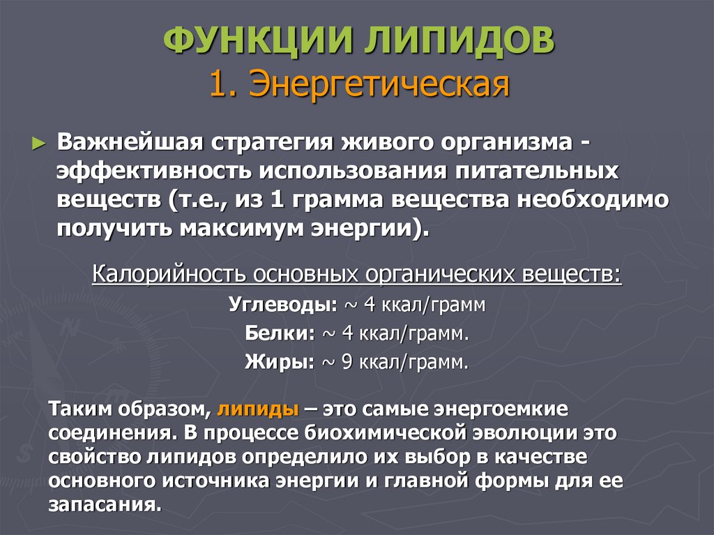 Функции липидов тканей. Функции липидов. Энергетическая функция липидов. Функции липидов в организме. Функции липидов структурная энергетическая.