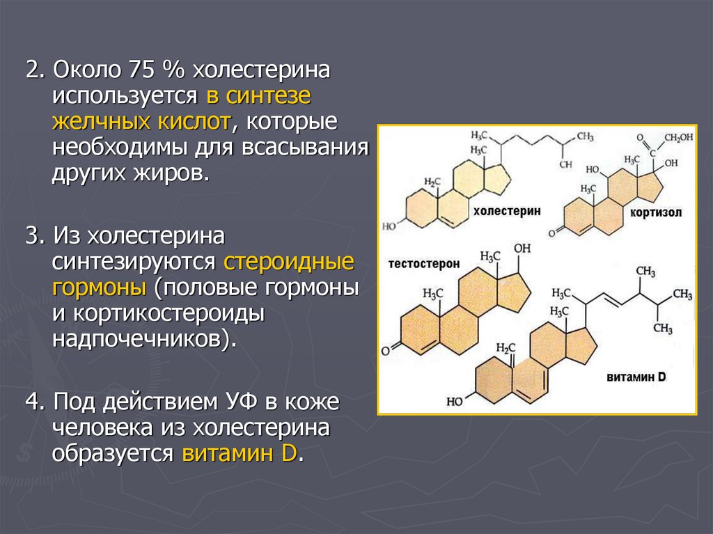 Липиды желчных кислот