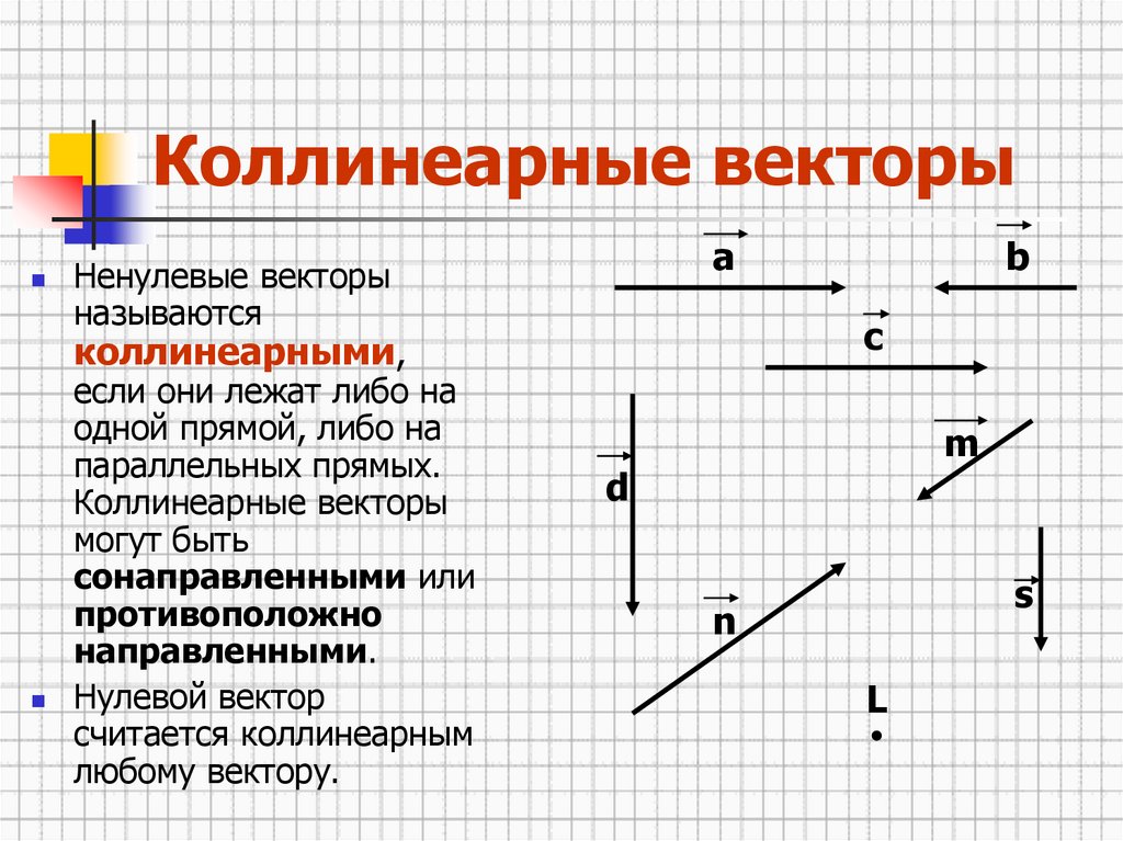 Элементы вектора. Коллинеарные сонаправленные противоположно направленные. Сонаправленные и противоположно направленные векторы. Коллинеарные векторы чертеж. Понятие коллинеарных векторов.