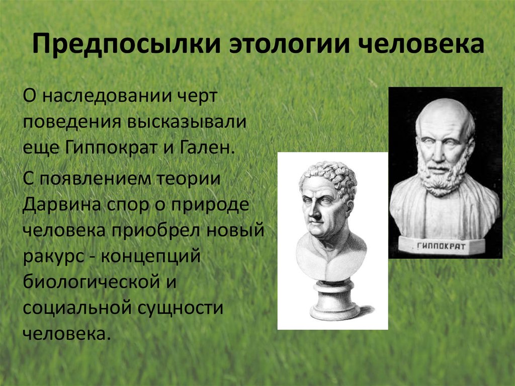 Этология. Этология человека. Основоположники этологии. Предмет исследования этологии человека. История развития этологии.