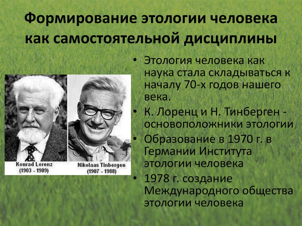 Этология. Тинберген этология. Лоренц и Тинберген этология. Основоположники этологии. Этологическое (к. Лоренц, н. Тинберген).