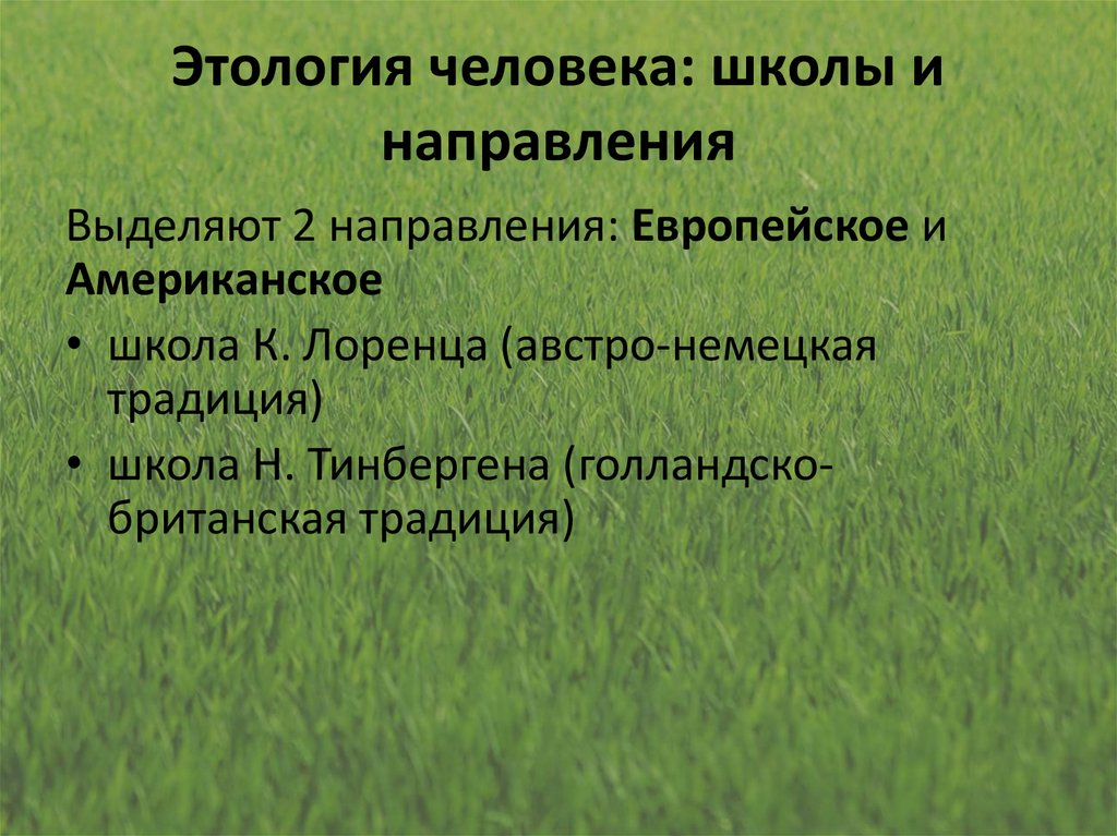 Этология. Этология это кратко. Этология животных презентация. Социальная этология.