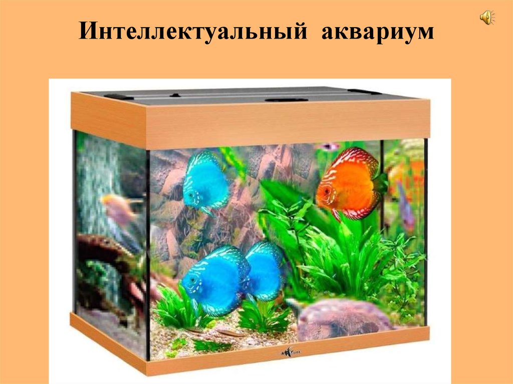 Интеллектуальный аквариум