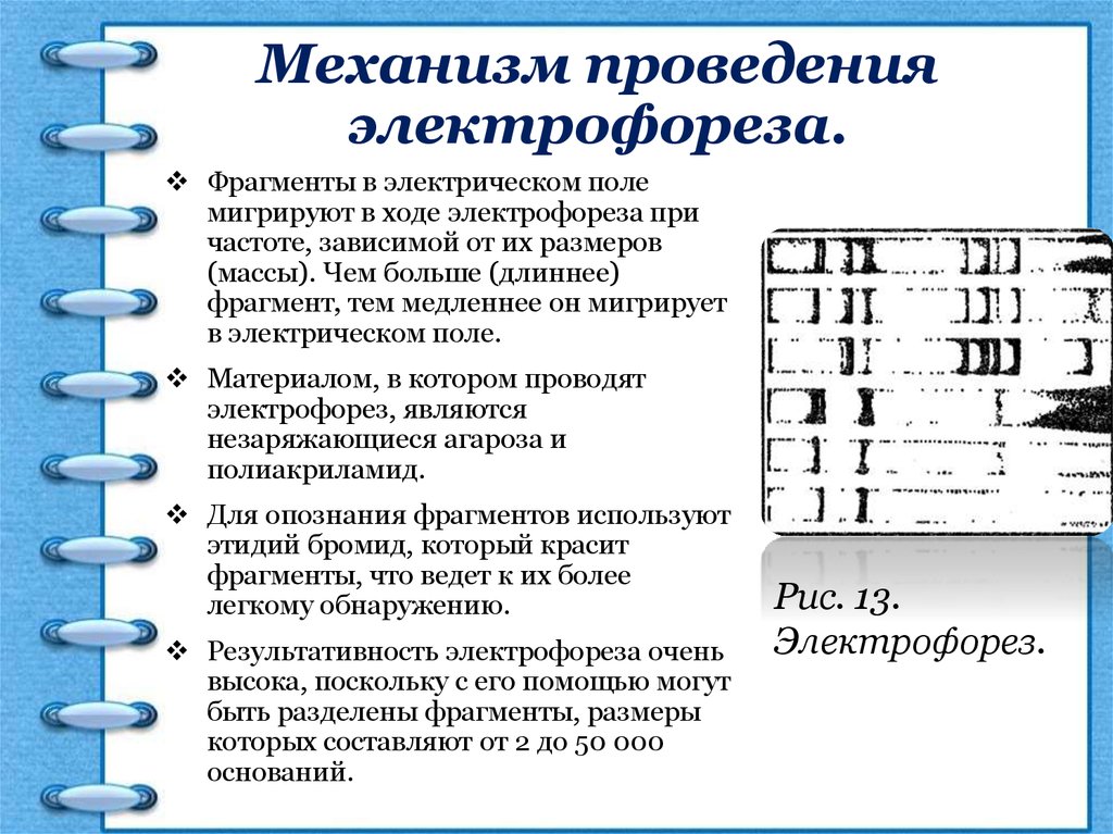 Механизм проведения