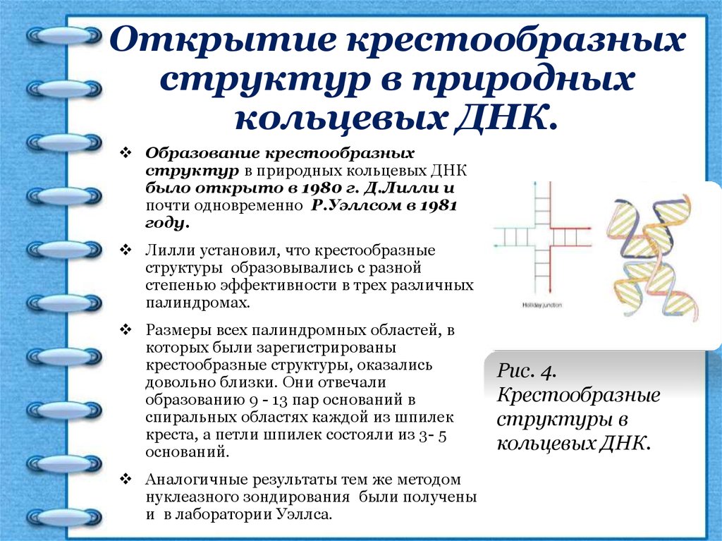 Презентация на тему палиндромы