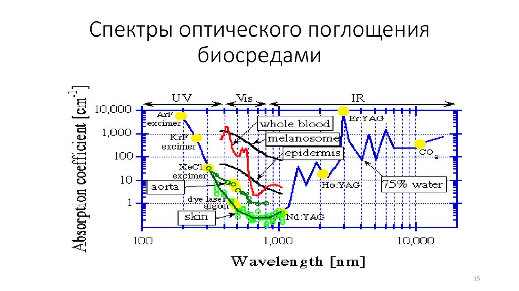 Спектры оптического поглощения биосредами