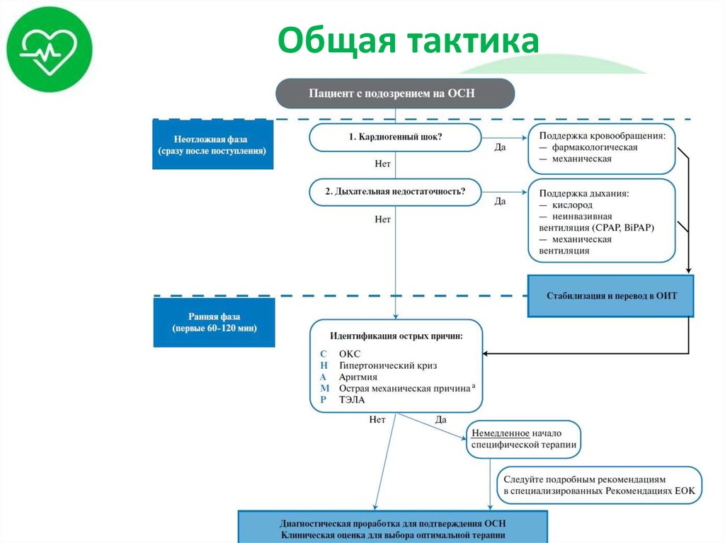 Общая тактика