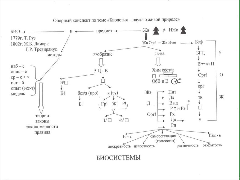 Конспект по теме история жизни